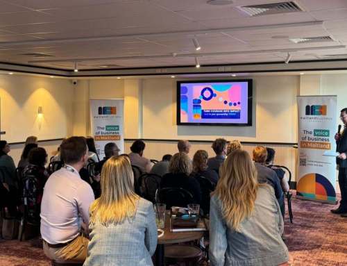 Lights, Camera, Connect: Maitland Business Leans Into Video