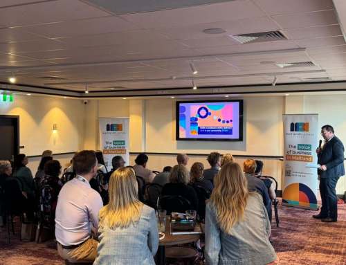 Lights, Camera, Connect: Maitland Business Leans Into Video